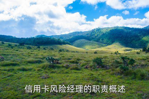 信用卡风险经理的职责概述