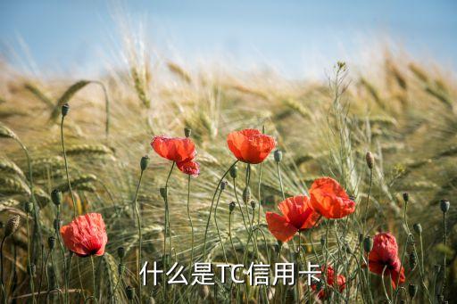 什么是TC信用卡