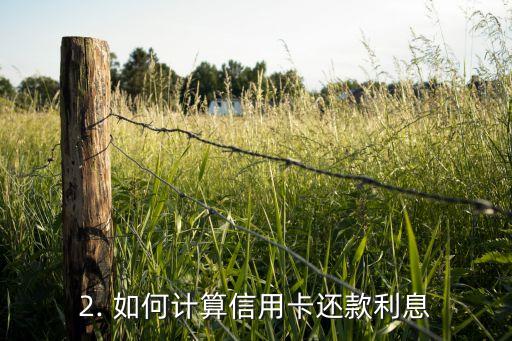 信用卡还款利息计算，信用卡还款利息如何计算？