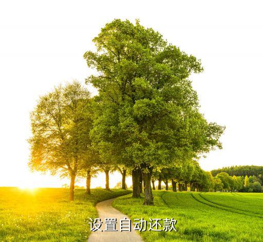 设置自动还款