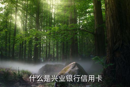 什么是兴业银行信用卡
