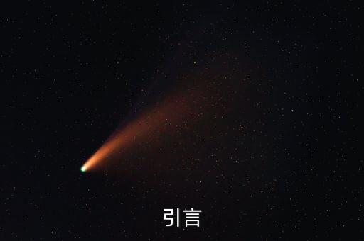 引言