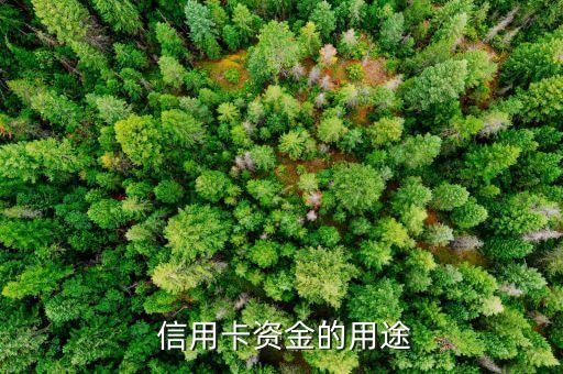 信用卡资金的用途