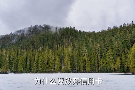 为什么要放弃信用卡
