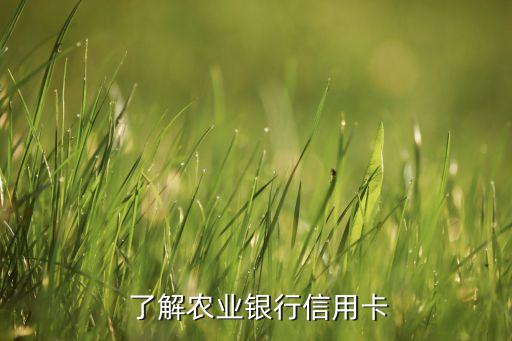 了解农业银行信用卡