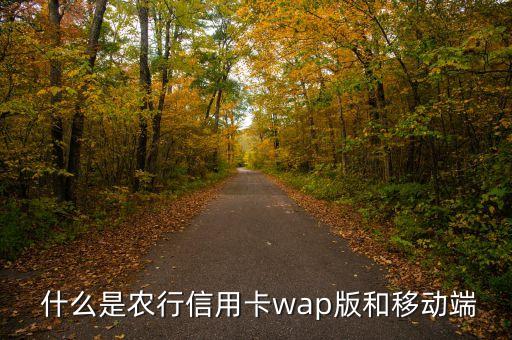 什么是农行信用卡wap版和移动端