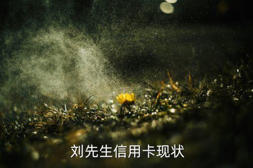 刘先生信用卡现状