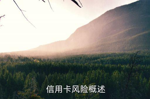 信用卡风险概述