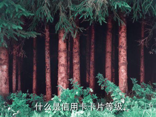 什么是信用卡卡片等级