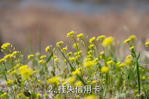 信用卡自己被盗刷，信用卡被盗刷，如何自救？