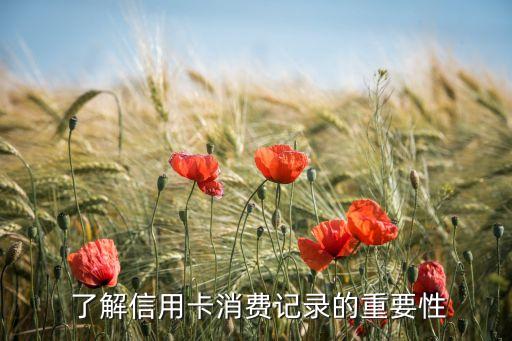 了解信用卡消费记录的重要性