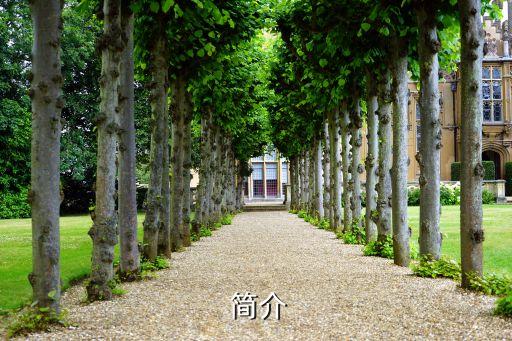 简介