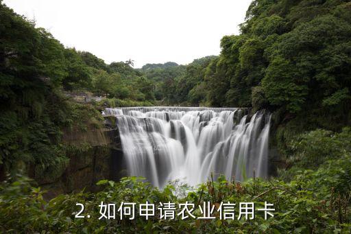 农业信用卡使用技巧，农业信用卡如何使用更得心应手