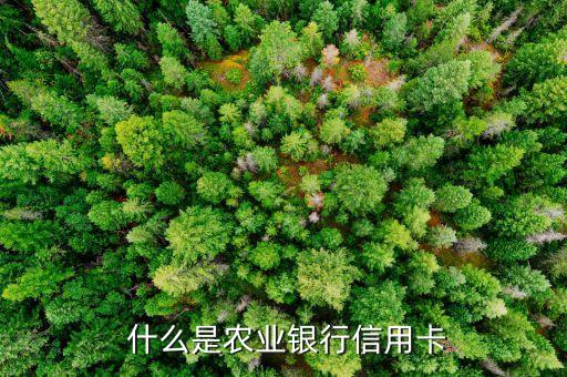 什么是农业银行信用卡