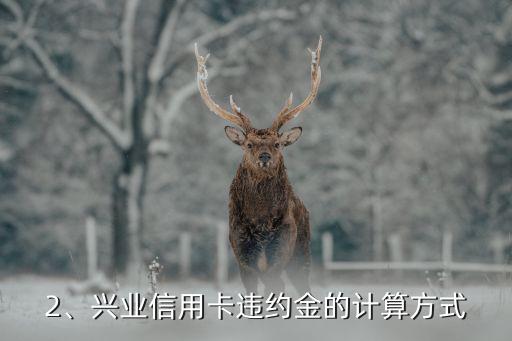 兴业信用卡违约金，兴业信用卡违约金：如何规避高额处罚