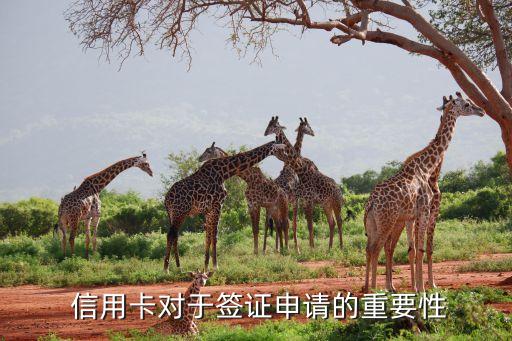 信用卡对于签证申请的重要性