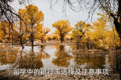 留学中的银行卡选择及注意事项