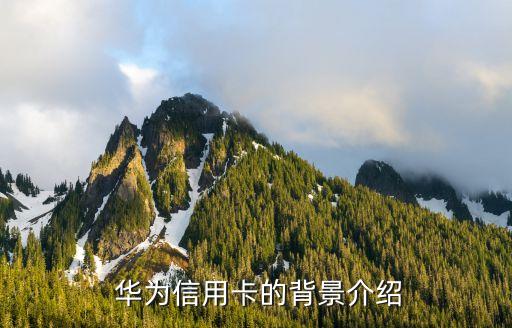 华为信用卡的背景介绍