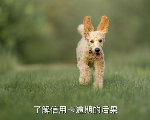 了解信用卡逾期的后果