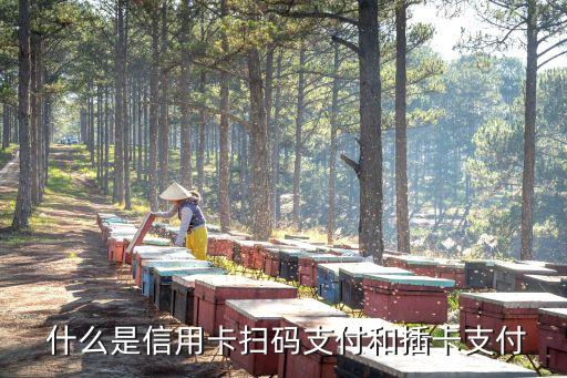 什么是信用卡扫码支付和插卡支付