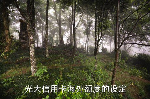 光大信用卡海外额度的设定