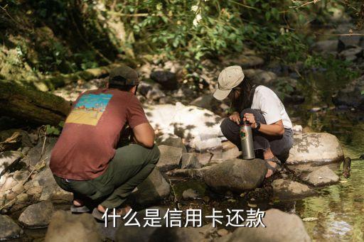 什么是信用卡还款