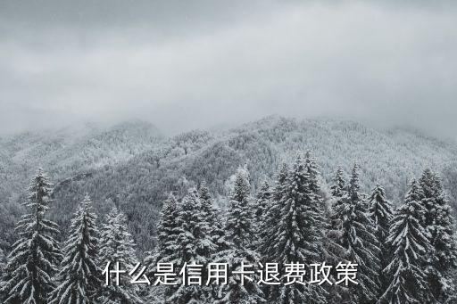 什么是信用卡退费政策