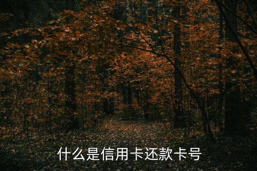 什么是信用卡还款卡号