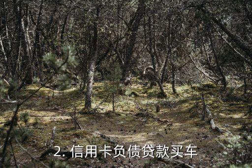 信用卡负债贷款买车，信用卡欠款换成车贷，买车不再成为难题