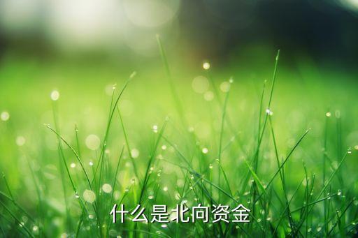 什么是北向资金