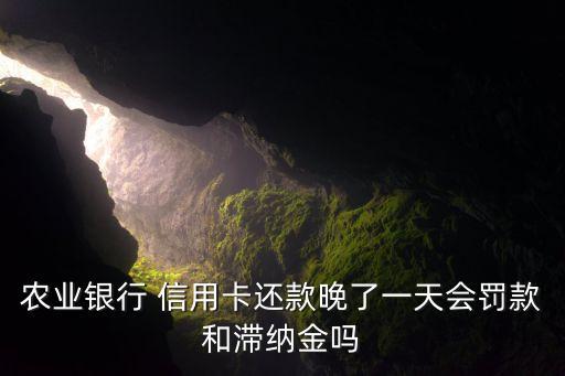 农业银行 信用卡还款晚了一天会罚款和滞纳金吗