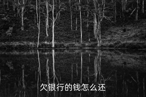 欠银行的钱怎么还
