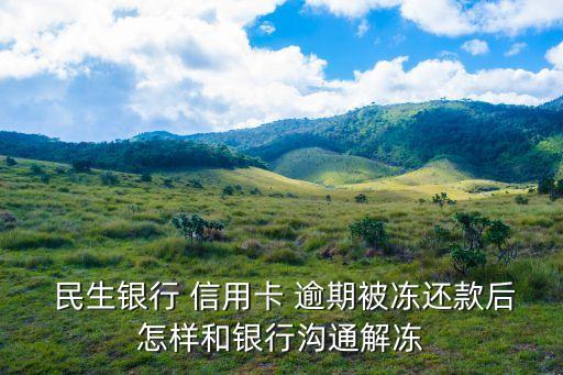  民生银行 信用卡 逾期被冻还款后怎样和银行沟通解冻