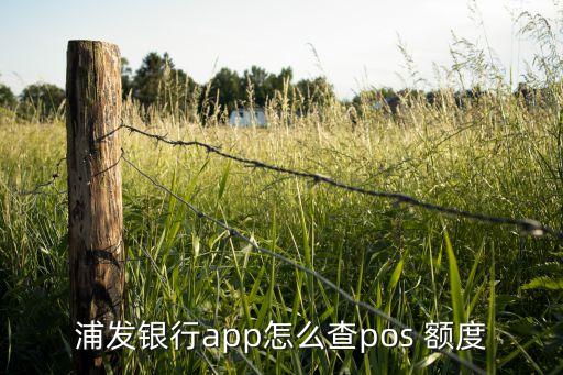 浦发银行app怎么查pos 额度