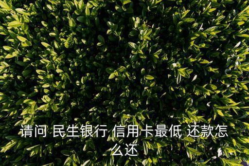 请问 民生银行 信用卡最低 还款怎么还