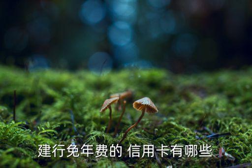 建行免年费的 信用卡有哪些