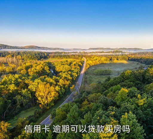 信用卡逾期申请房,关于建行信用卡逾期减免申请