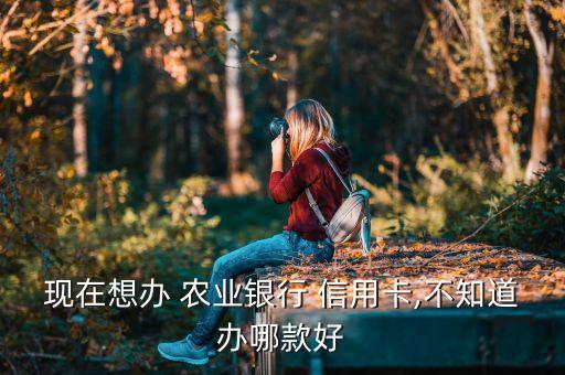 农业银行信用卡哪个权益多