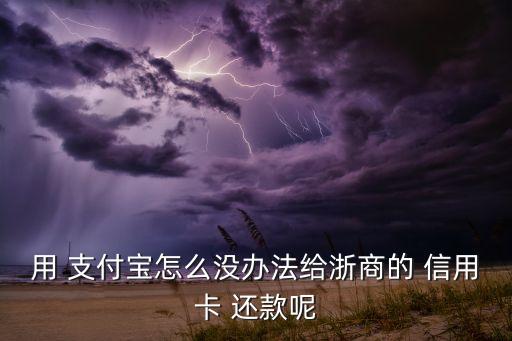 用 支付宝怎么没办法给浙商的 信用卡 还款呢