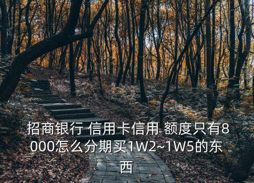 招商信用卡分期额度怎么