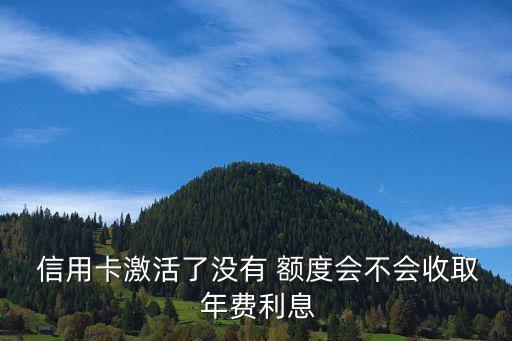  信用卡激活了没有 额度会不会收取 年费利息
