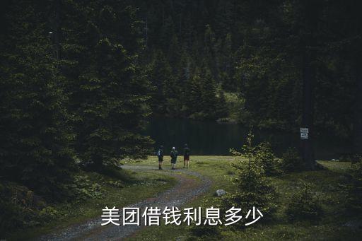  美团借钱利息多少