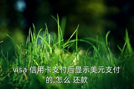 visa 信用卡支付后显示美元支付的,怎么 还款