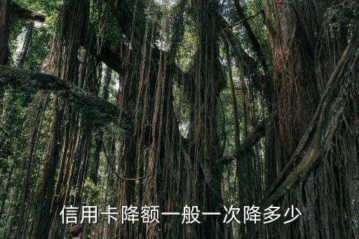  信用卡降额一般一次降多少