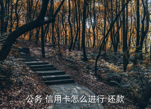 wd信用卡还款方式,信用卡最不建议的还款方式