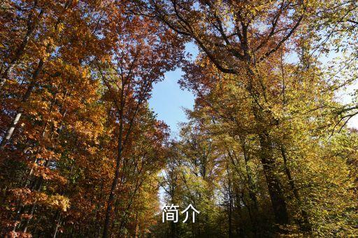 简介