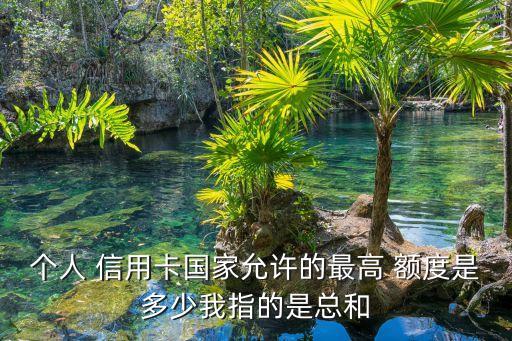 个人 信用卡国家允许的最高 额度是多少我指的是总和