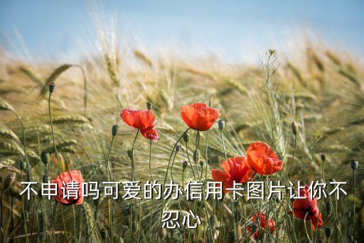 不申请吗可爱的办信用卡图片让你不忍心
