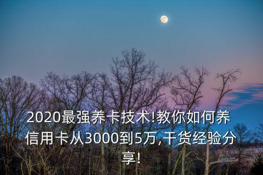 2020最强养卡技术!教你如何养 信用卡从3000到5万,干货经验分享!