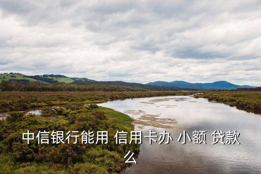 信用卡可以申请小额贷款吗,有招商信用卡可以申请什么贷款
